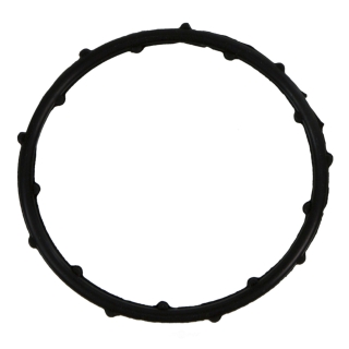 Thermostatdichtung - Wateroutlet Gasket  Dodge+Jeep 3,6L 11-17